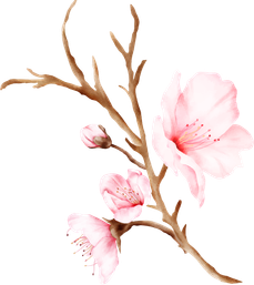 Sakura Branch